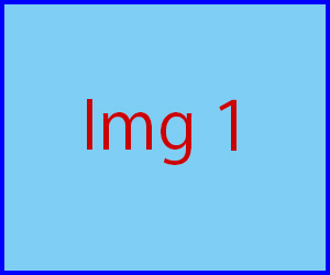 img1